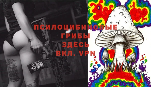 молекула духа Аркадак