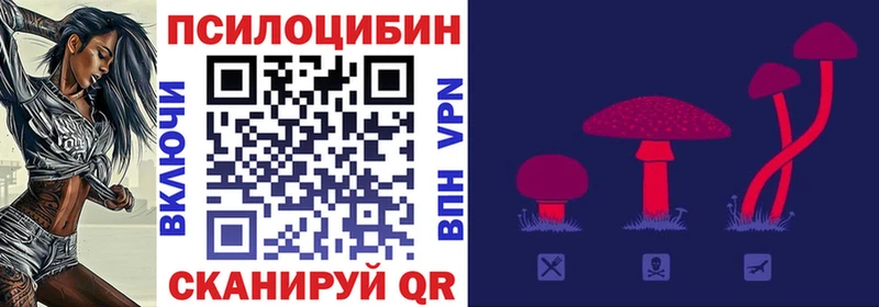 Псилоцибиновые грибы мицелий  закладка  мега tor  Каргат 